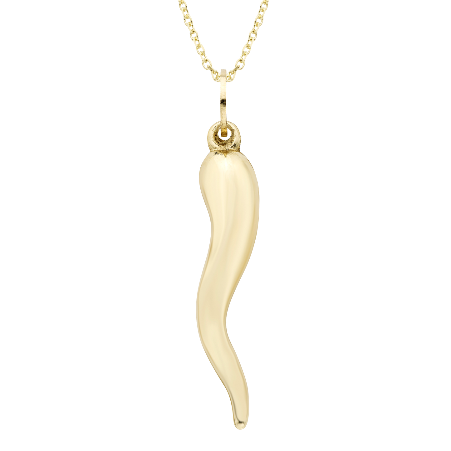 Gold Horn Charm Necklace